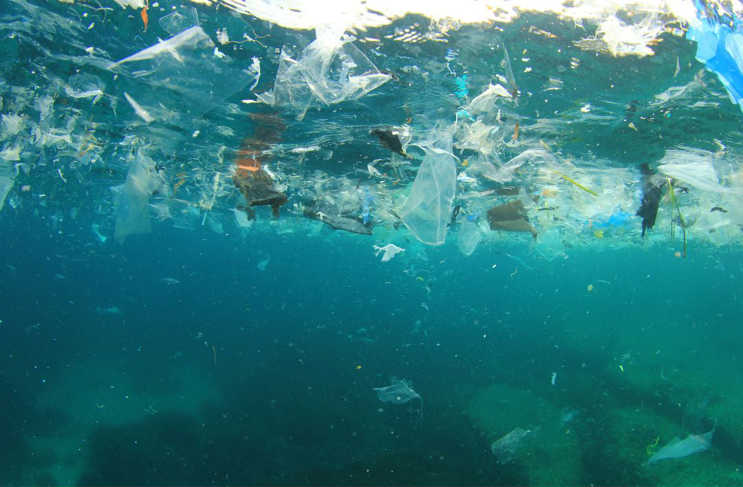 Keep Plastic Out of Our Oceans